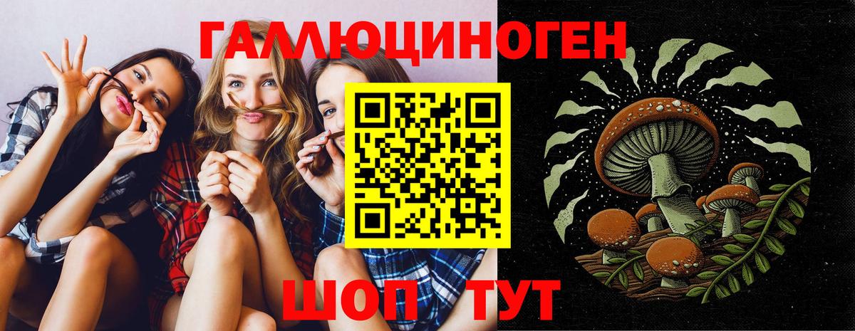 Псилоцибиновые грибы GOLDEN TEACHER  Вход с VPN  Полысаево 
